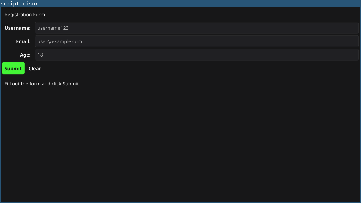 Form Validation Screenshot