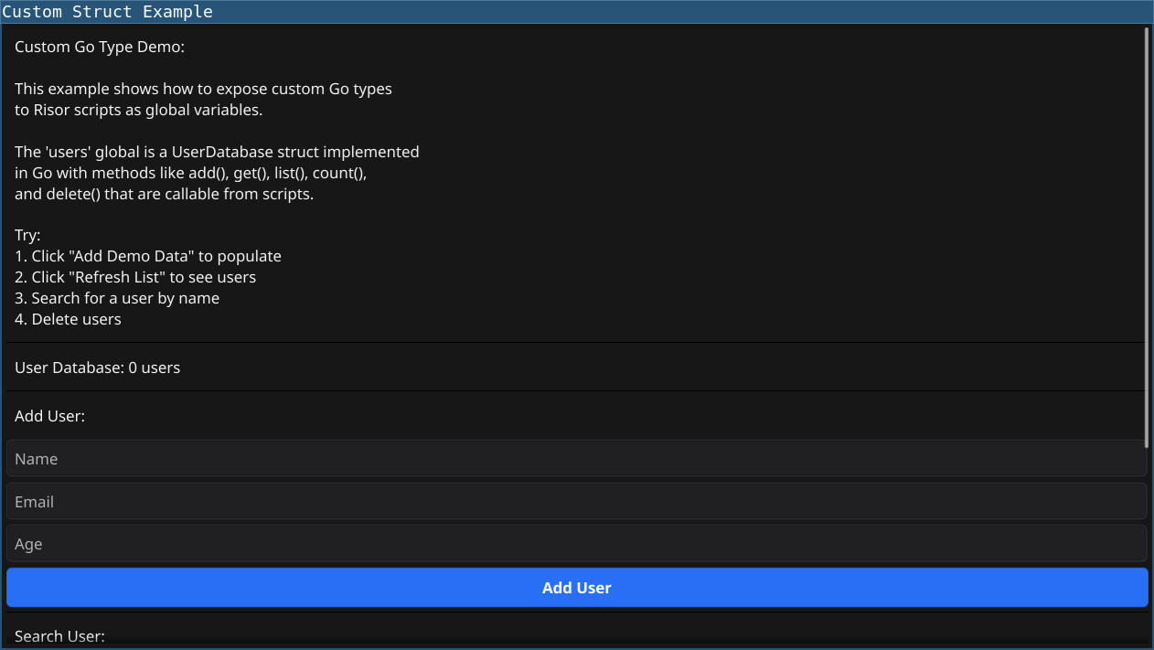 Custom Struct Screenshot